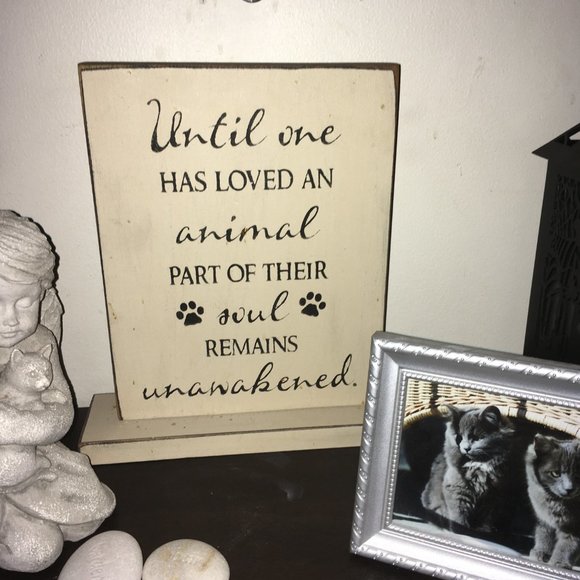 Meet your Posher, Dyan - Picture 2 of 11